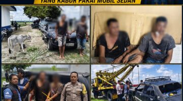 Masyarakat Hubungi 110, Polsek Dolok Batu Nanggar dan Unit Jatanras Polres Simalungun Sigap Bekuk Dua Pencuri Anak Lembu yang Kabur Pakai Mobil Sedan