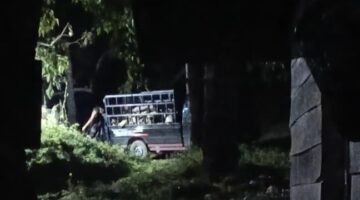 Kasus Lingkungan PT Rosin Kian Rumit, Dugaan Pemindahan Limbah Dinilai Dapat Mengganggu Jalannya Penyelidikan